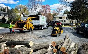 Best Emergency Tree Removal  in Riverwoods, IL